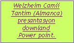 Textfeld: Welzheim Camii Tantim (Almanca)    presantasyon  downland Power point.